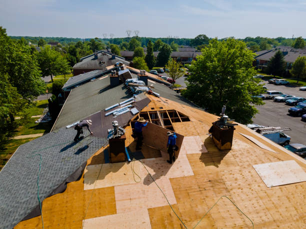 Trusted Storm Damage Roof Repair service in Ludowici, GA - Brentwood Metal Roofing